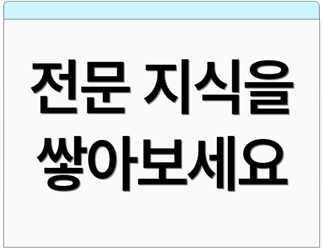 전문 지식을 쌓아보세요