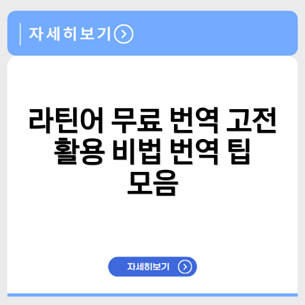 라틴어 번역기 무료 사이트 추천과 고전 라틴어 활용법 번역 팁 정리