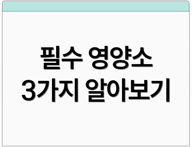 필수 영양소 3가지 알아보기