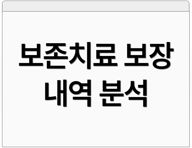 보존치료 보장 내역 분석