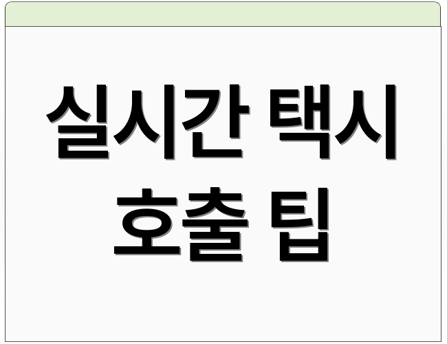 실시간 택시 호출 팁