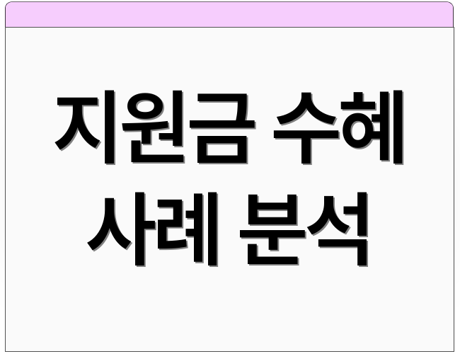 지원금 수혜 사례 분석