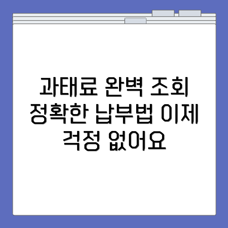 차량 과태료 조회 정확한 방법과 납부 기준 정리