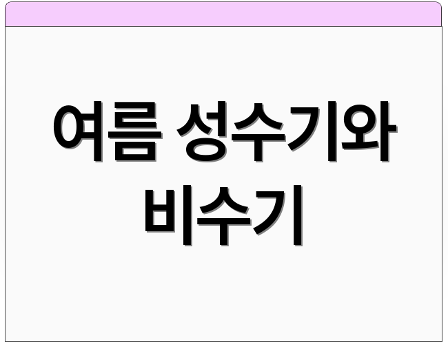 여름 성수기와 비수기