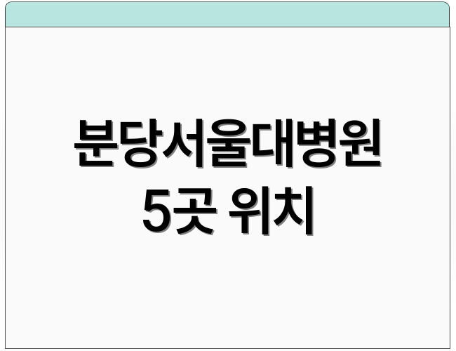 분당서울대병원 5곳 위치