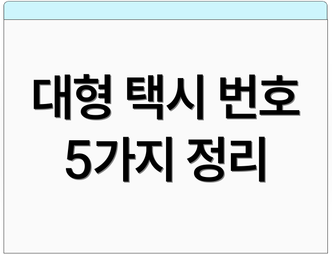 대형 택시 번호 5가지 정리