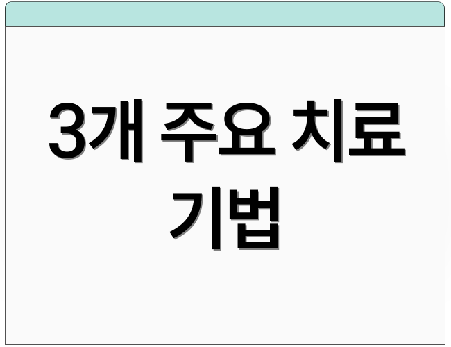 3개 주요 치료 기법
