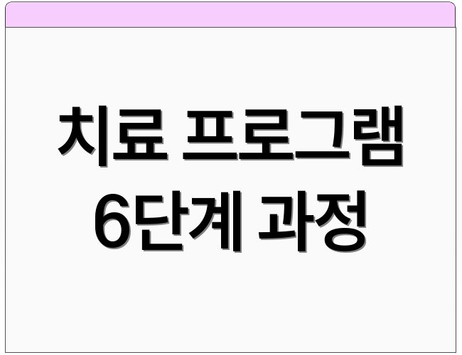 치료 프로그램 6단계 과정
