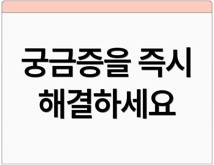 궁금증을 즉시 해결하세요