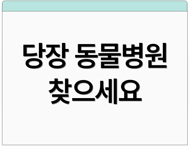 당장 동물병원 찾으세요