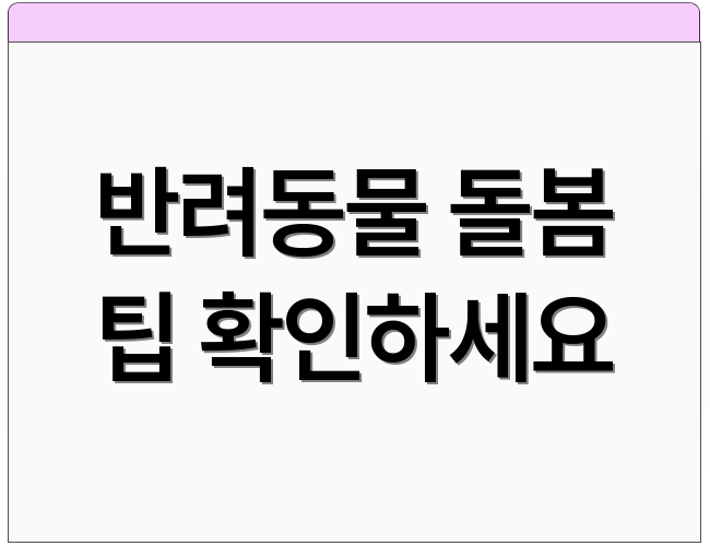 반려동물 돌봄 팁 확인하세요