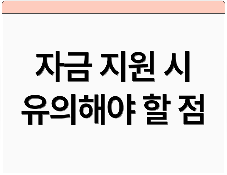 자금 지원 시 유의해야 할 점