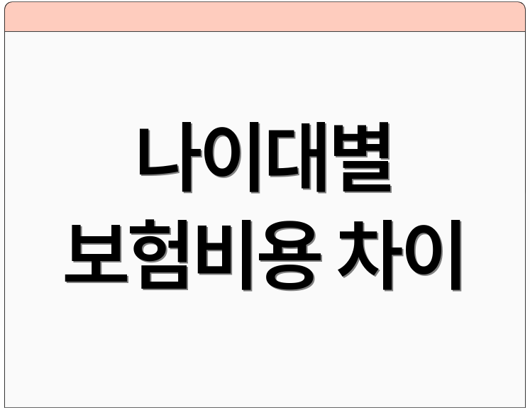 나이대별 보험비용 차이