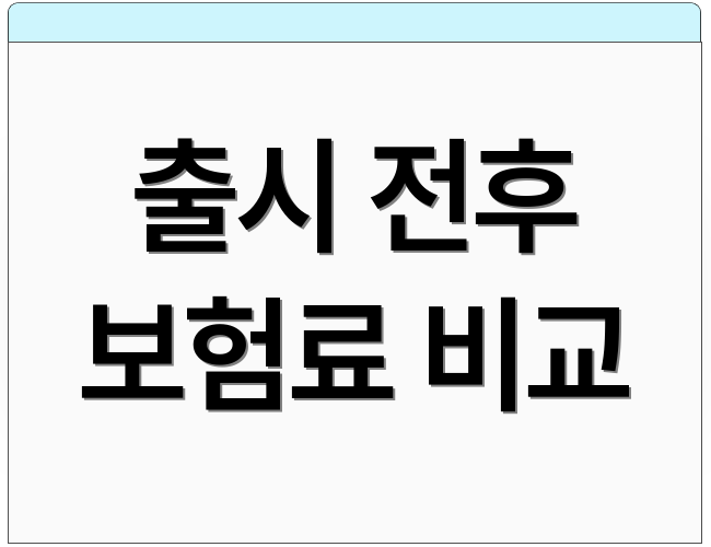 출시 전후 보험료 비교