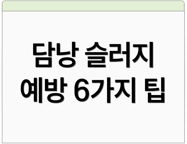 담낭 슬러지 예방 6가지 팁