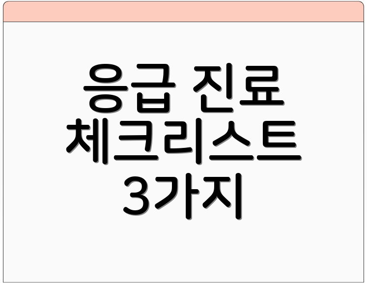 응급 진료 체크리스트 3가지