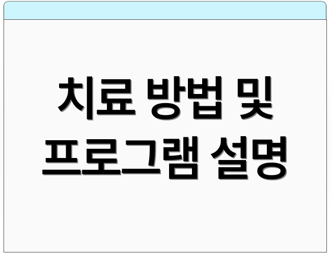 치료 방법 및 프로그램 설명