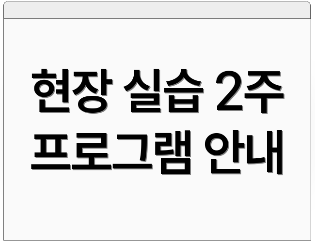 현장 실습 2주 프로그램 안내