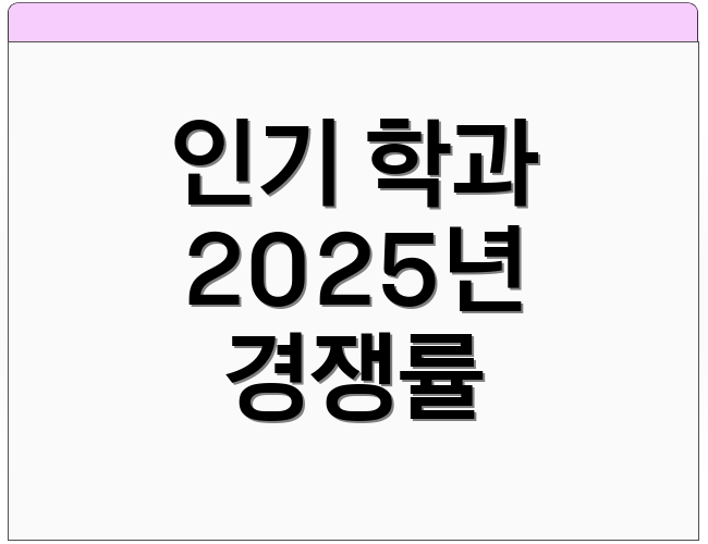 인기 학과 2025년 경쟁률