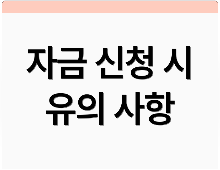 자금 신청 시 유의 사항