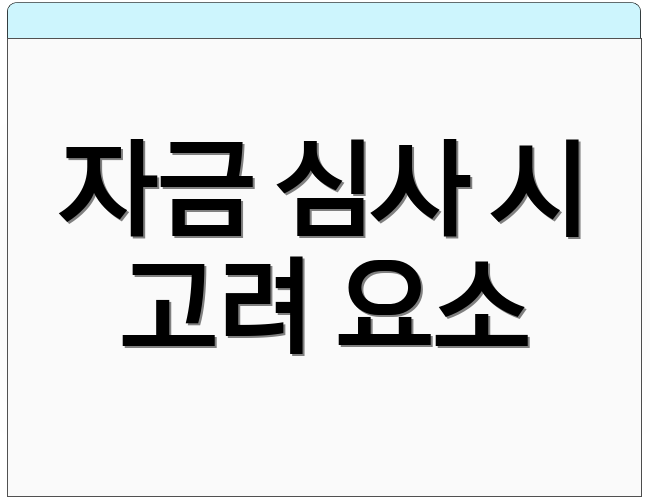 자금 심사 시 고려 요소