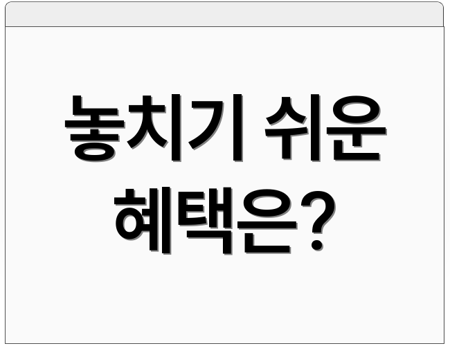 놓치기 쉬운 혜택은?