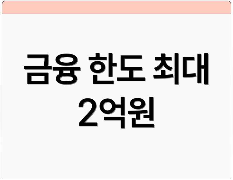 금융 한도 최대 2억원