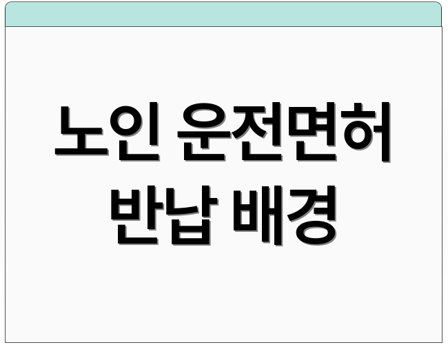 노인 운전면허 반납 배경