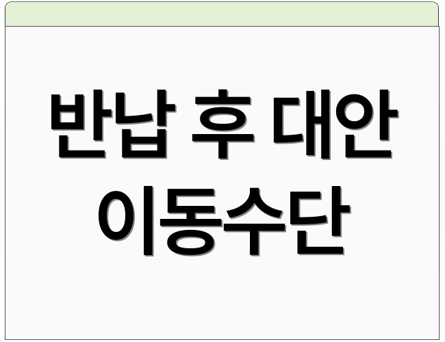 반납 후 대안 이동수단