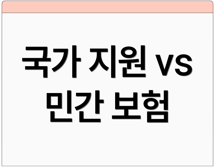 국가 지원 vs 민간 보험