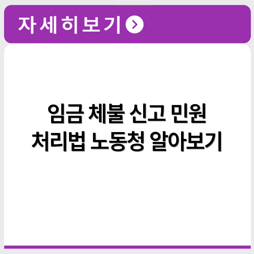 임금 체불 신고 절차와 노동청 민원 방법