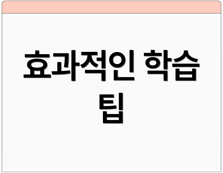 효과적인 학습 팁