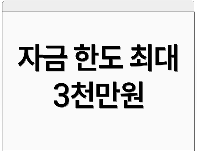 자금 한도 최대 3천만원