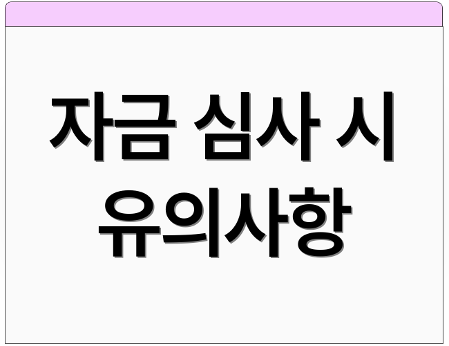 자금 심사 시 유의사항